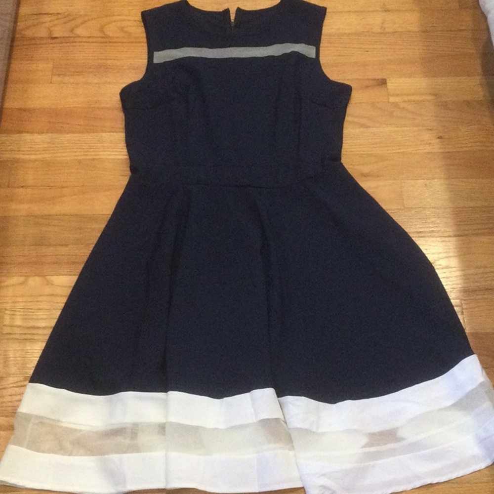 NWOT Adorable Swing Dress. Navy and white. Back zipper.​